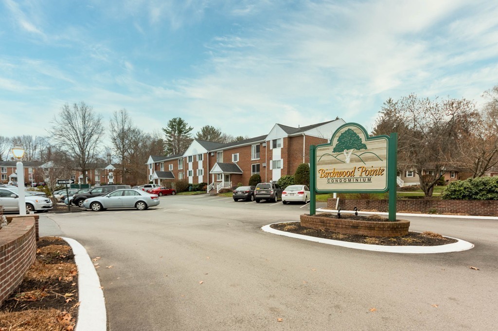 4 Birchwood Court 