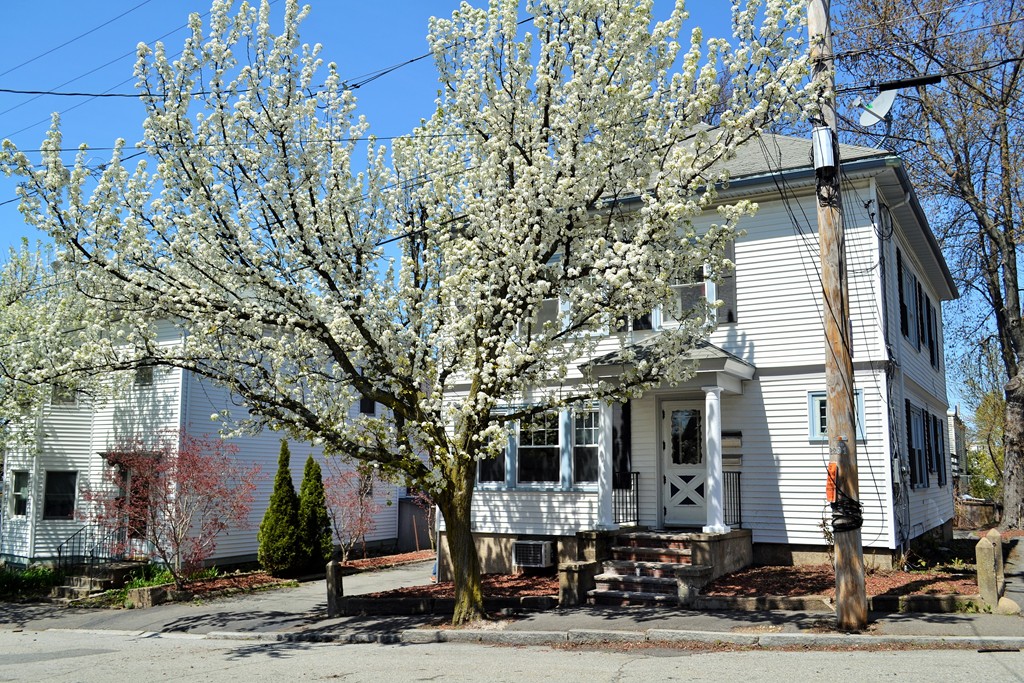 12 Meadow St 